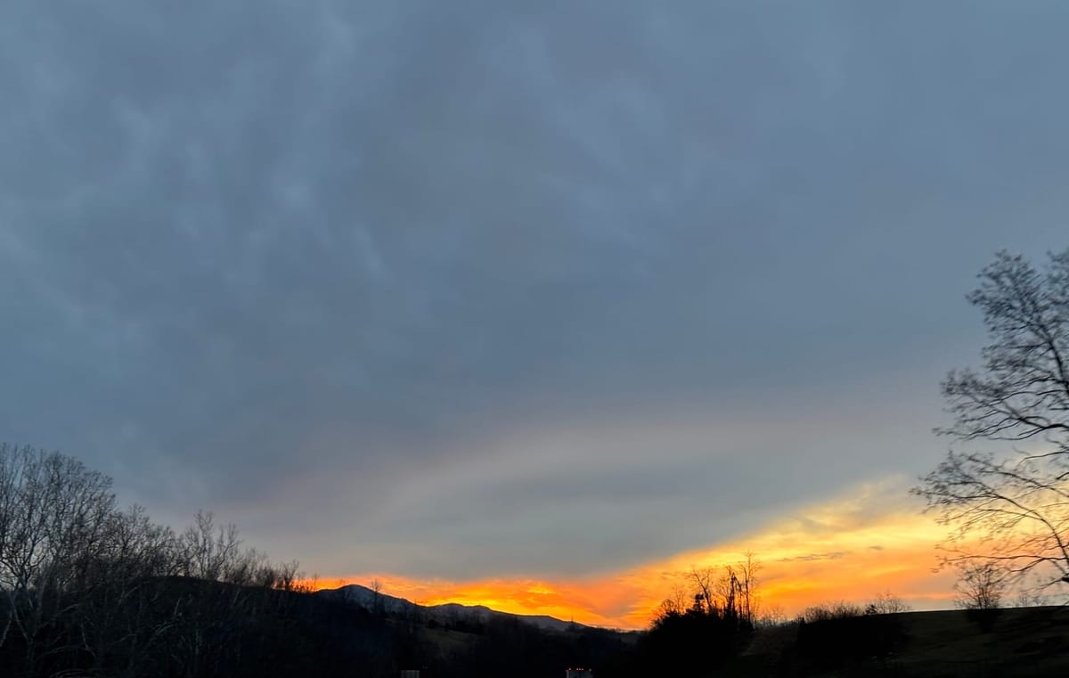 Life Under the Fading Sun